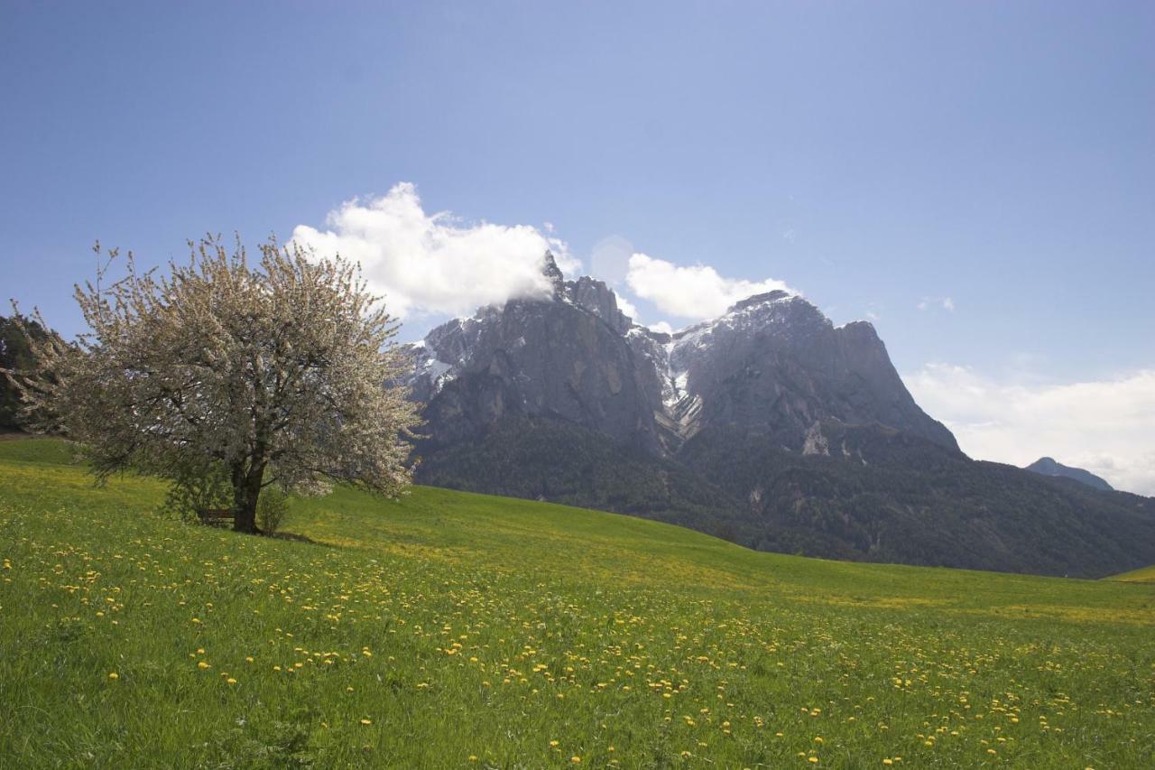 Tomasoethof Villa Castelrotto Luaran gambar
